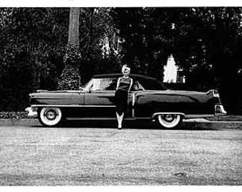 Marilyn Monroe Postcard