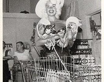Jayne Mansfield Postcard