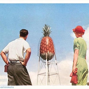 May include: Vintage postcard featuring a large pineapple sculpture on a metal structure, with a man and woman observing it. The woman wears a green dress and red hat, while the man wears a white shirt and gray pants. The sky is blue with clouds. Text at the bottom reads "NATURAL COLOR PHOTOGRAPH."