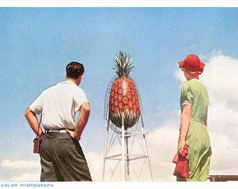 World’s Largest Pineapple Postcard