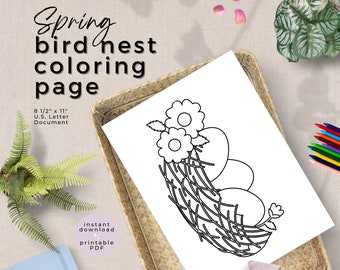 Frühling Vogelnest Ausmalseite - Druckbare Vogelnest Ausmalseite - Ostern Achtsamkeit Farbseiten Aktivität - Sofortiger digitaler Download PDF
