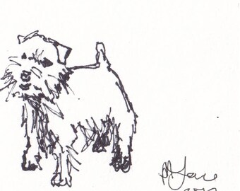 Original Terrier Dog drawing