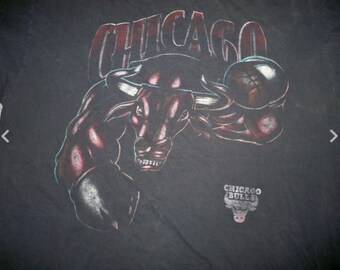 Vintage Nutmeg 90s Chicago Bulls Tee Tshirt NBA Wrap Around Single