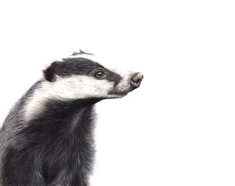 Barbara Badger Limited Edition Stampa Badger Ritratto Wildlife Animal Art Decor