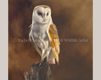 The Lookout Limited Edition Print Kerkuil Portret Uil Wildlife Animal Art Decor