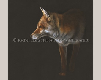 Out of the Shadows Original Fox Olieverfschilderij Fox Portrait Wildlife and Animal Art Decor