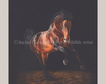 Thunder Originele Equine Olieverfschilderij Paard Schilderij Paard Art Decor