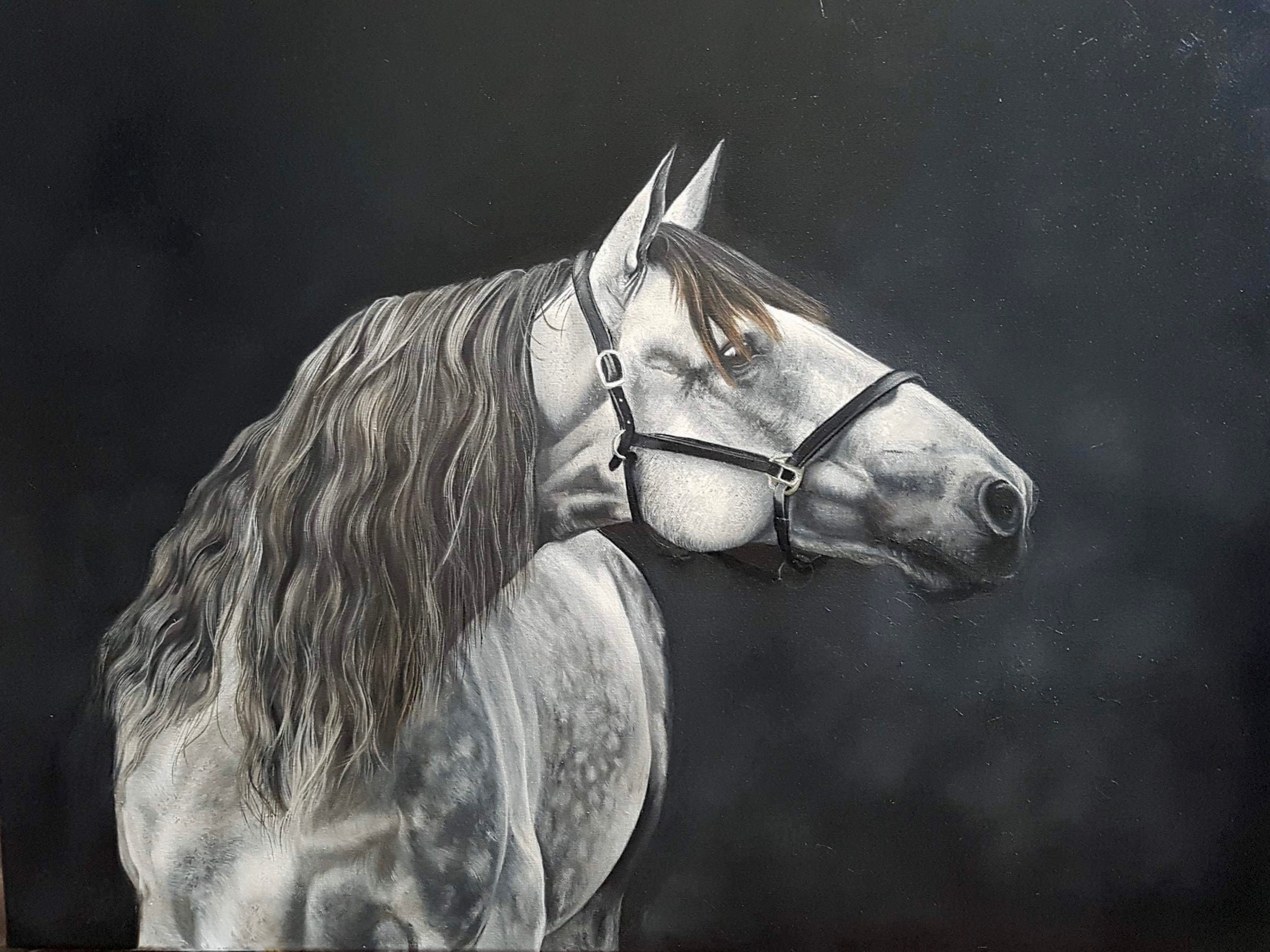 Dappled grey original horse equine art painting oil art Etsy