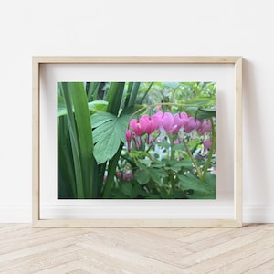 Bleeding Heart Show