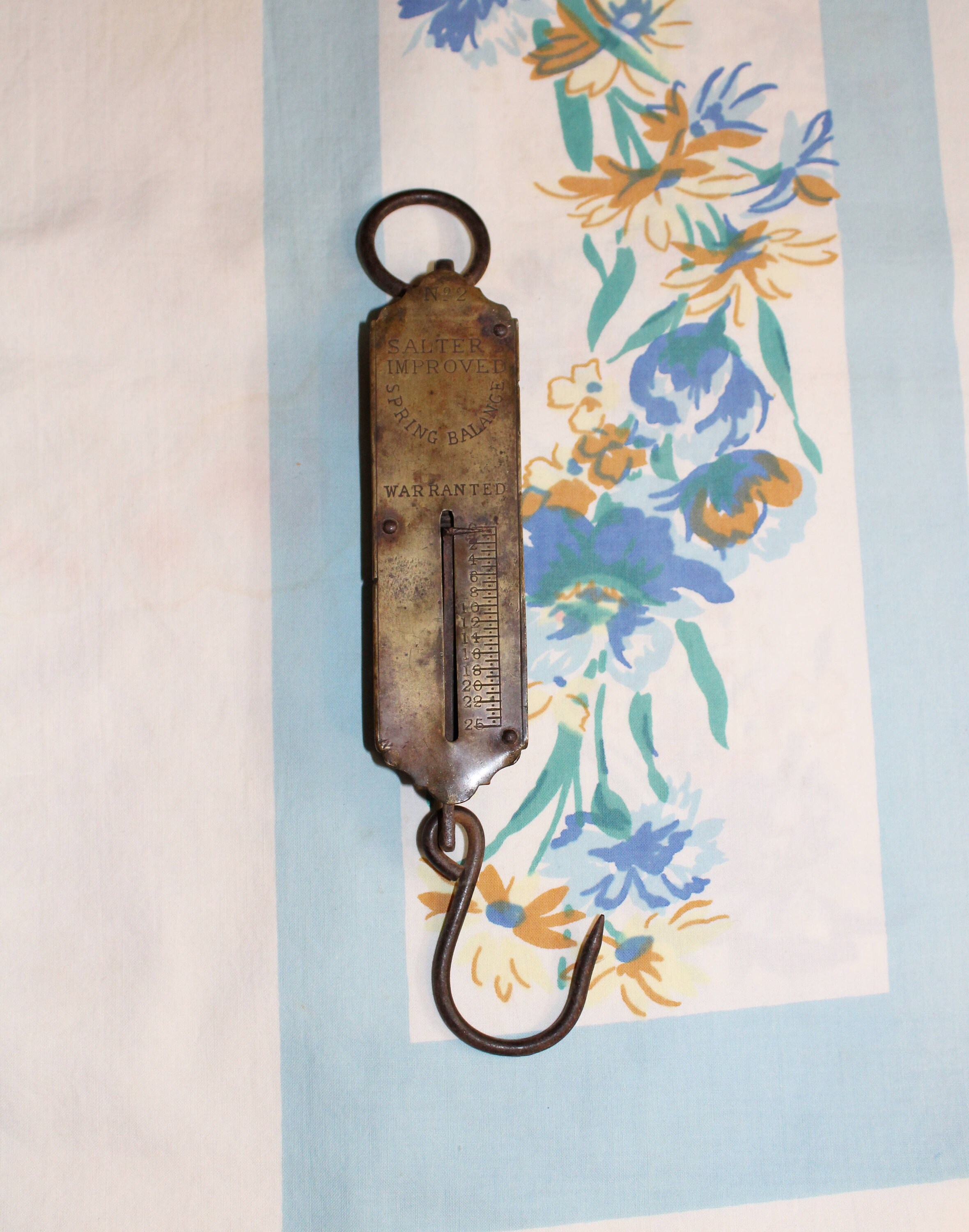 Salter Hanging Scale - Etsy