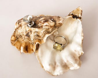 Oyster Shell Jewelry Box: Coastal Trinket Dish with Faux Pearl