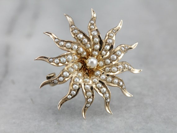 Antique Seed Pearl Starburst Brooch, Victorian Pe… - image 5