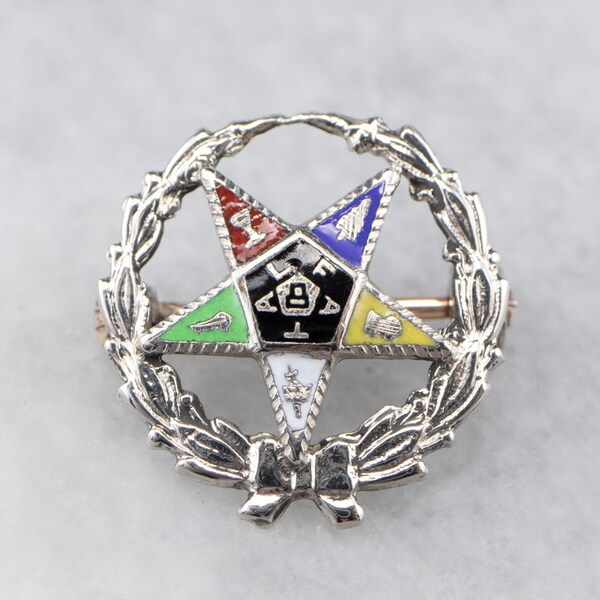 Order of the Eastern Star Pin, Enamel Lapel Pin, White Gold Pin, Fraternal Pin, Masonic Pin, 0MHTNF94