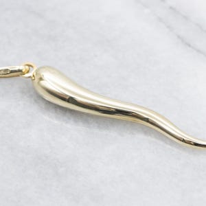 Large 14-Karat Gold Italian Horn Pendant, Cornicello Charm, Italian Horn, Good Luck Charm, Talisman Pendant, Unisex Gift A67534