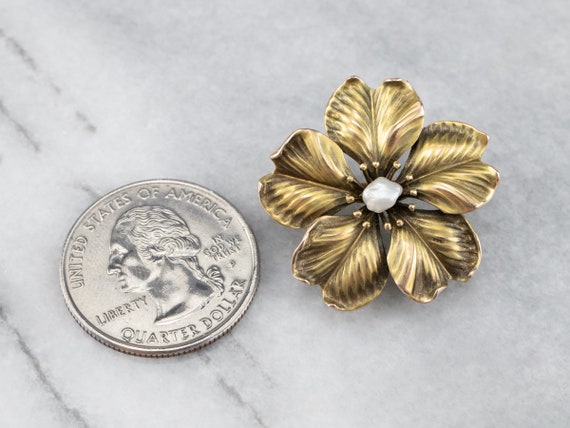 Antique Baroque Pearl Flower Pin or Pendant, Yell… - image 4