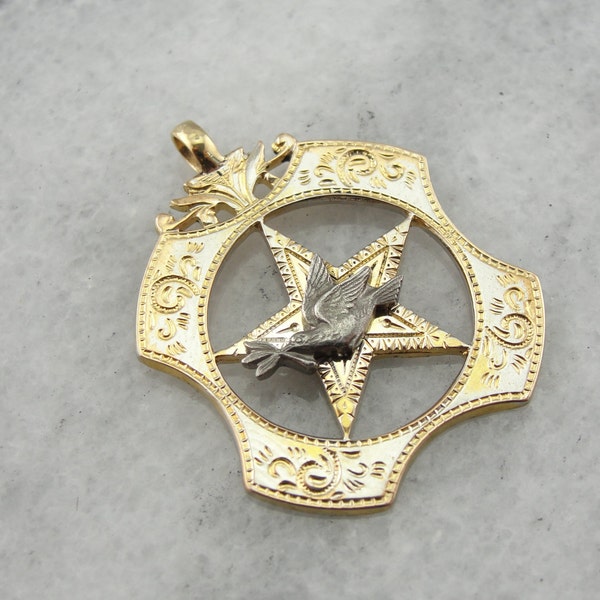 Order of the Odd Fellows, Daughters of Rebekah Star and Dove Pendant WN8490-D