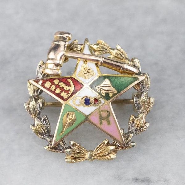 Order of the Eastern Star Pin, Enamel Lapel Pin, Yellow Gold Pin, Fraternal Pin, Masonic Pin 6WRMAT9L