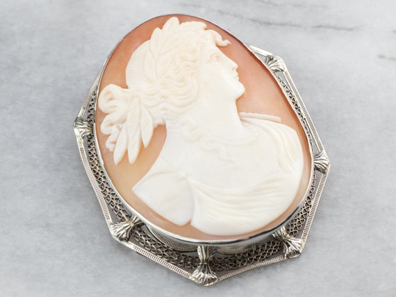 Art Deco Demeter Cameo Brooch, Goddess Cameo, Vin… - image 3