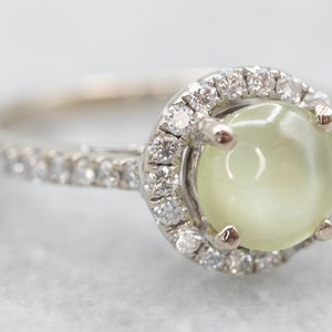 Cat&#39;s Eye Chrysoberyl Halo Ring, Chrysoberyl Diamond Ring, White Gold Chrysoberyl Ring, Chrysoberyl Jewelry, Anniversary Gift A28158