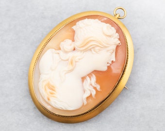 アンティークな美しい 14kt ゴールドの精巧なフレームのシェル カメオ
