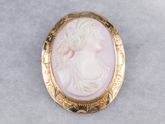Vintage Pink Shell Cameo Broche Cameo Oval Pin Statement Jewelry Cameo Collector Estate Jewelry 3KJZR9ZJ Etsy Mexico