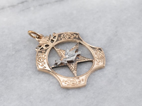 Daughters of rebekah best sale jewelry