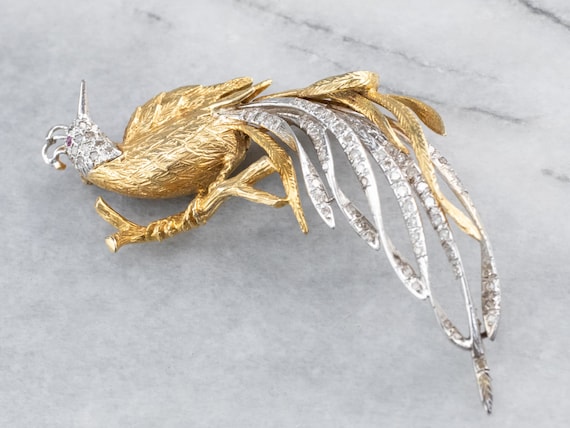 Diamond Gold Platinum Bird Brooch, Tropical Bird … - image 1