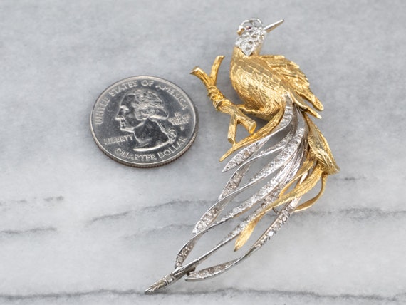 Diamond Gold Platinum Bird Brooch, Tropical Bird … - image 10