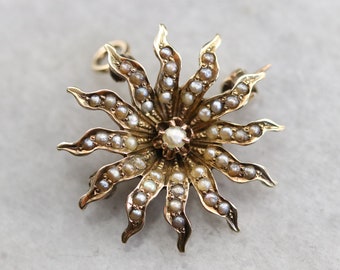 Victorian 10K Gold Seed Pearl Starburst Brooch or Pendant