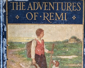 DOGS: The Adventures of Remi -- Philip Schuyler Allen (trans. from French), Illustrated by Mead Schaeffer, 1925