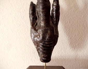 Mummified Emu foot (real)