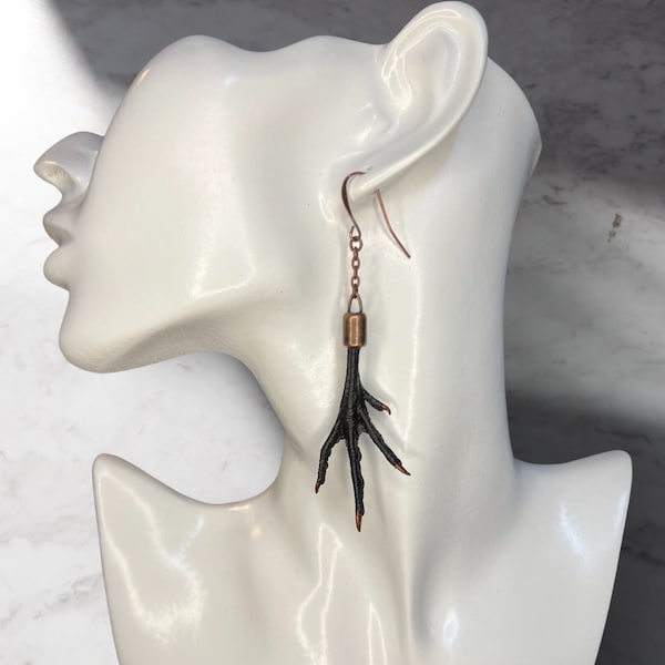 Bird feet - real bird foot earrings - taxidermy earrings