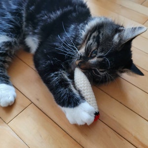 Op de afbeelding: Een zwart-witte tabbykat die speelt met een wit en rood gehaakt speelgoed dat lijkt op een vis.