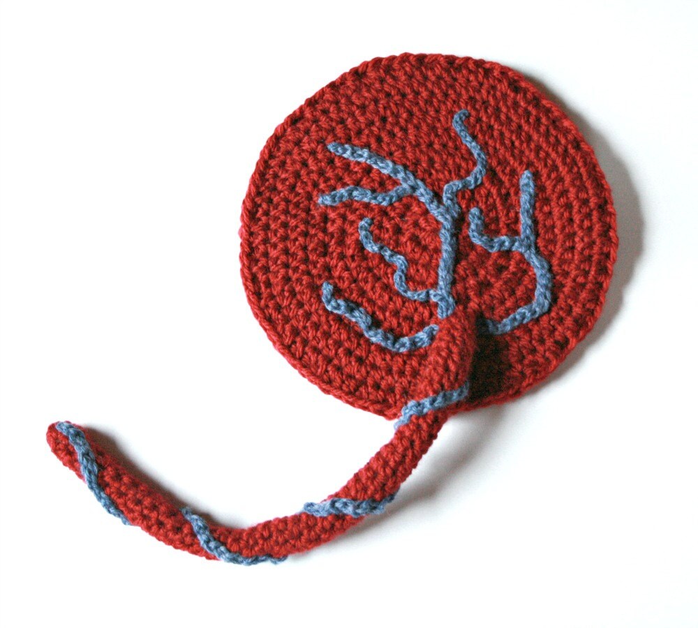 DIY Crochet Pattern – My Little Placenta, Educational Birth Aid