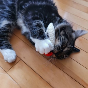 Op de afbeelding: Een zwart-witte tabbykat die speelt met een wit en rood speeltje op een houten vloer.