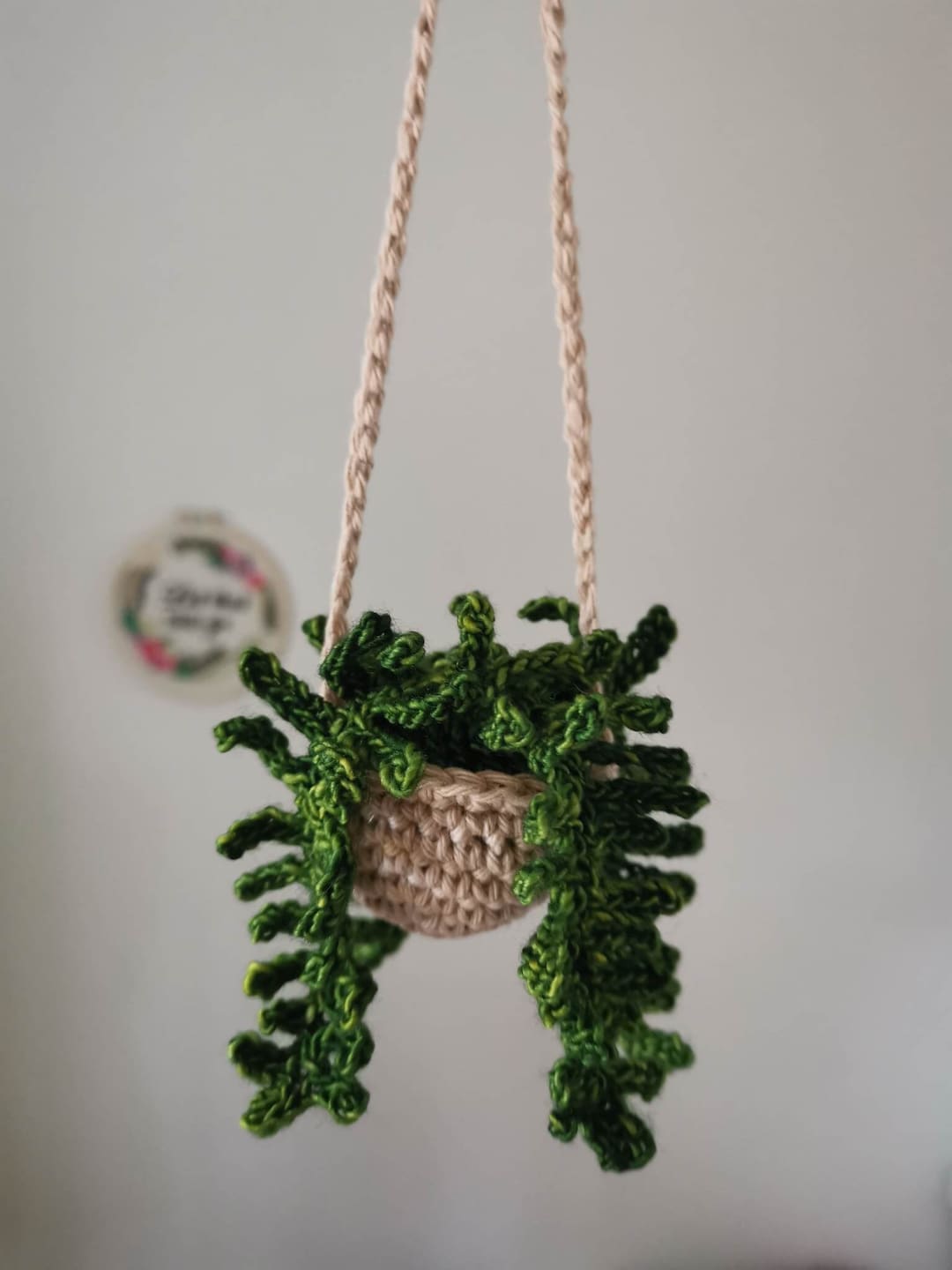 DIY Crochet Pattern Fern Mini Hanging Plant Etsy