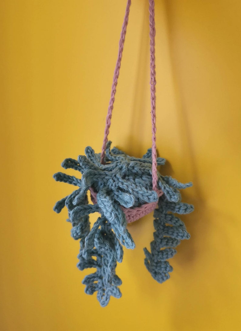 DIY Crochet Pattern Fern Mini Hanging Plant Etsy