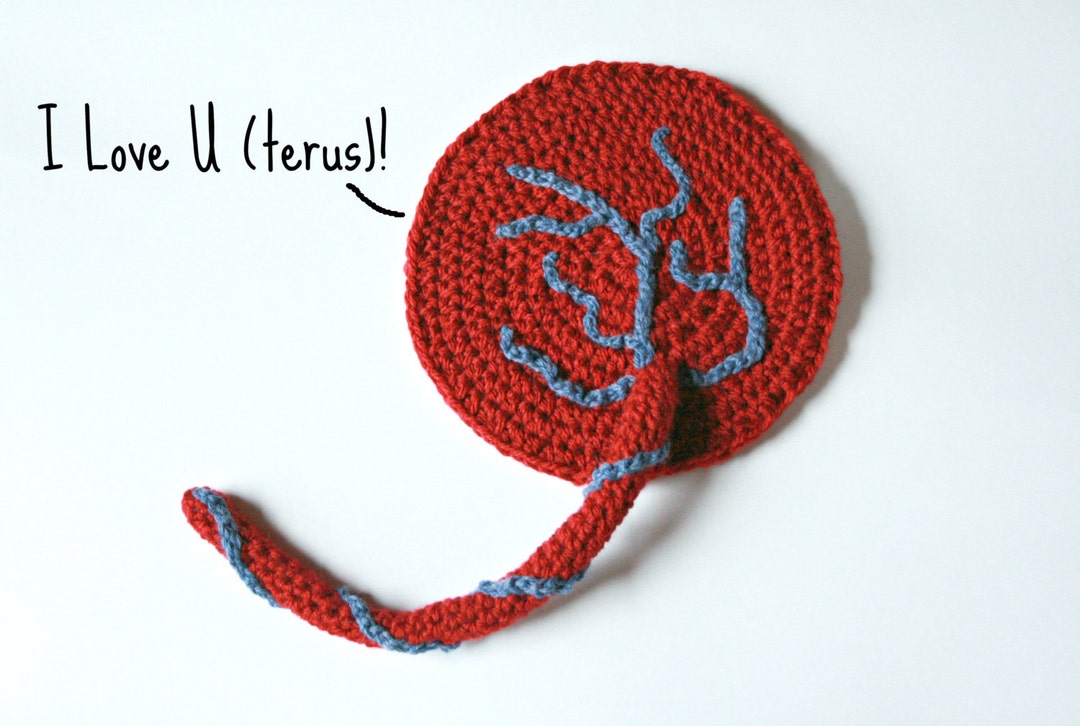 DIY Crochet Pattern – My Little Placenta, Educational Birth Aid