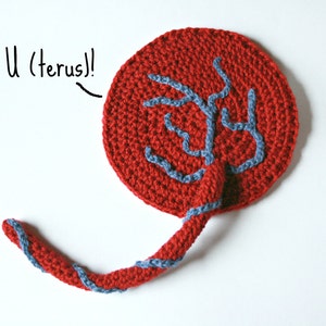 DIY Crochet Pattern – My Little Placenta, Educational Birth Aid (PDF Pattern)