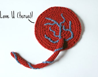 DIY Crochet Pattern - My Little Placenta Crochet Pattern - Educational for Birth, Midwife, Doula, Nurse - CROCHET PATTERN - Instant Download