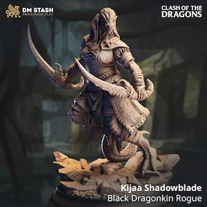 Female Dragonborn Rogue Miniature