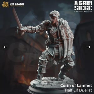 Male Elf Dualist Miniature
