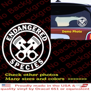 May include: White vinyl decal with a black circle and the words "Endangered Species" in a bold font. Inside the circle are two crossed pistons. The decal is shown on the back window of a car.