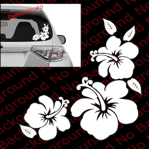 May include: White vinyl decal of three hibiscus flowers with leaves. The decal is shown on the back window of a car.
