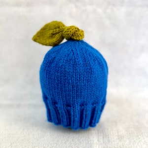 Blueberry Hat with Ribbed Brim for Babies, Toddlers, Kids, Adults