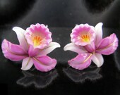 Toshikane Pink ORCHID Earrings 950 Silver Arita Porcelain Floral Green Fuchsia Gold Yellow Black 3D Ceramic Flower Hand Painted Botanical