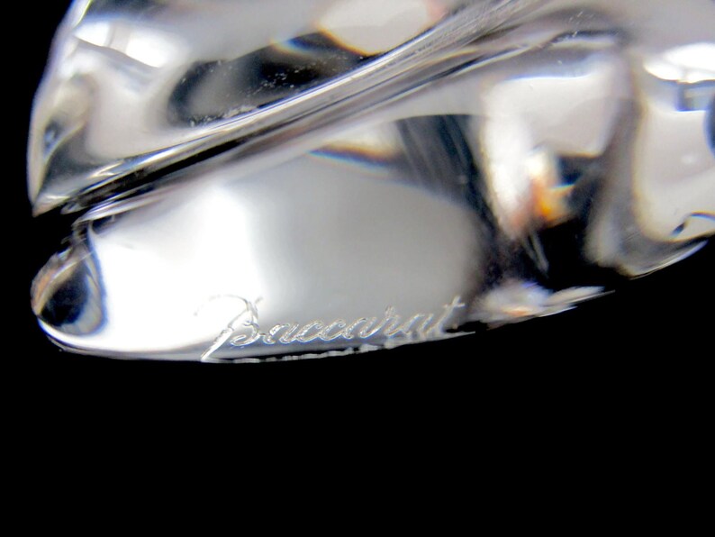 May include: Close-up of a clear glass object with the word "Baccarat" etched on the bottom.