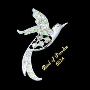 Vintage Sarah Coventry uccello del paradiso AB strass tono argento Spilla Pin - sulla carta originale, nuovo da vecchio magazzino