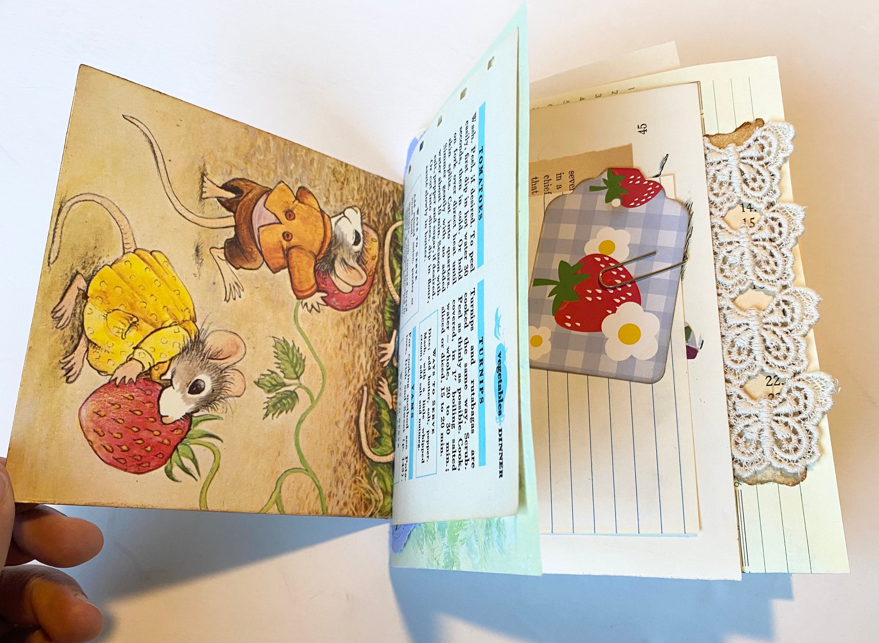 Mice Eating Mushrooms: Fact Or Fiction? - 1u64d8r