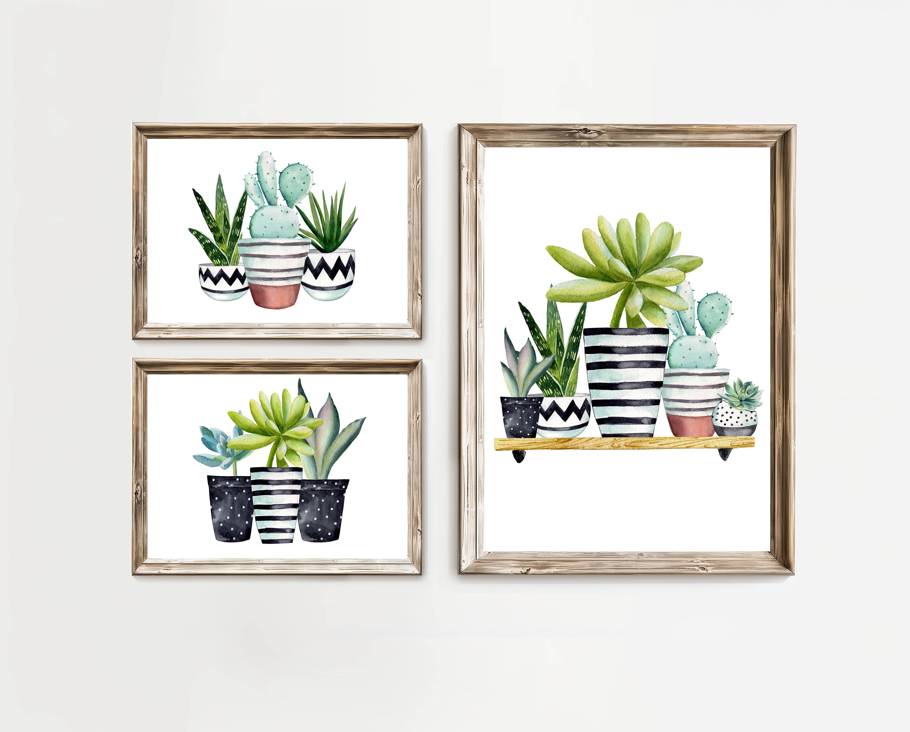 Potted Succulent Prints | Set of 3, Botanical Gallery Wall Art ...